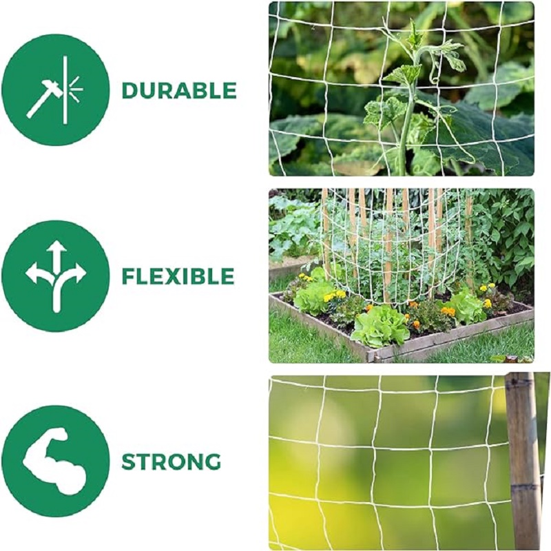 Garden Trellis Netting White A - Outdoor Sports Net review and price